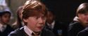 CS-Potterish_02371.jpg