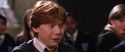 CS-Potterish_02372.jpg