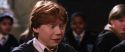 CS-Potterish_02373.jpg