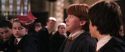CS-Potterish_02385.jpg