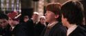 CS-Potterish_02386.jpg