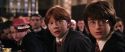 CS-Potterish_02390.jpg
