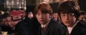 CS-Potterish_02395.jpg