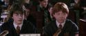 CS-Potterish_02455.jpg