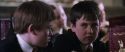 CS-Potterish_02457.jpg