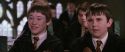 CS-Potterish_02491.jpg