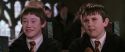 CS-Potterish_02492.jpg