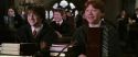 CS-Potterish_02499.jpg