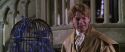 CS-Potterish_02502.jpg