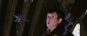 CS-Potterish_02536.jpg