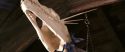 CS-Potterish_02551.jpg