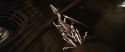 CS-Potterish_02556.jpg
