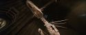 CS-Potterish_02558.jpg