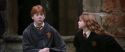 CS-Potterish_02632.jpg