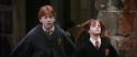 CS-Potterish_02633.jpg