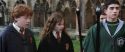 CS-Potterish_02657.jpg