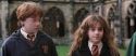 CS-Potterish_02670.jpg