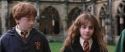 CS-Potterish_02671.jpg