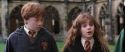 CS-Potterish_02672.jpg