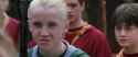 CS-Potterish_02685.jpg