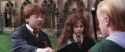 CS-Potterish_02690.jpg