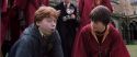 CS-Potterish_02708.jpg