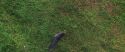 CS-Potterish_02712.jpg