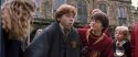 CS-Potterish_02720.jpg