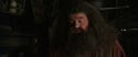 CS-Potterish_02740.jpg
