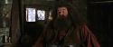CS-Potterish_02744.jpg
