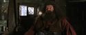 CS-Potterish_02745.jpg