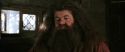 CS-Potterish_02749.jpg