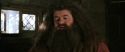 CS-Potterish_02750.jpg