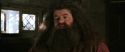 CS-Potterish_02751.jpg