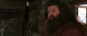CS-Potterish_02771.jpg