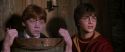CS-Potterish_02773.jpg