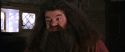 CS-Potterish_02793.jpg