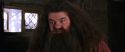 CS-Potterish_02795.jpg