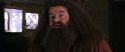 CS-Potterish_02797.jpg