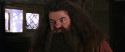 CS-Potterish_02798.jpg