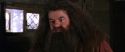 CS-Potterish_02799.jpg