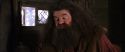 CS-Potterish_02809.jpg