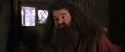 CS-Potterish_02810.jpg