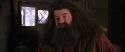 CS-Potterish_02811.jpg