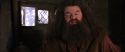 CS-Potterish_02812.jpg