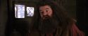 CS-Potterish_02815.jpg