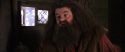 CS-Potterish_02816.jpg