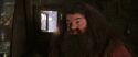 CS-Potterish_02820.jpg