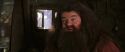 CS-Potterish_02821.jpg