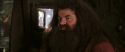 CS-Potterish_02829.jpg